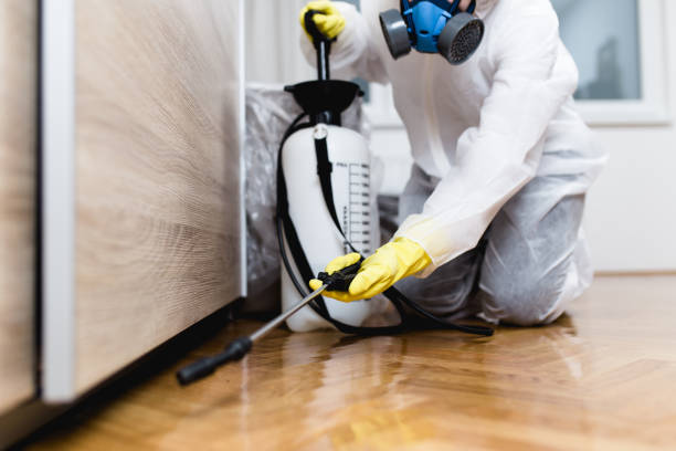 Best Termite Control Services  in Eastmont, WA