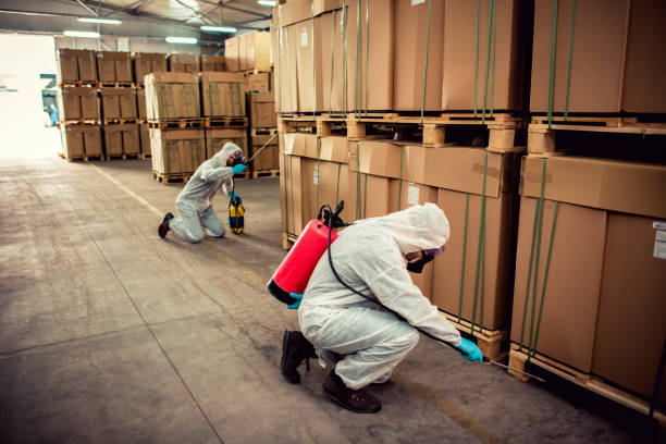 Best Affordable Pest Control Services  in Eastmont, WA