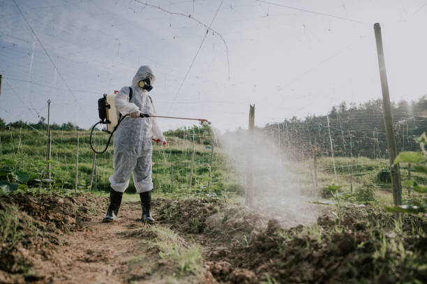Best Local Pest Control Services  in Eastmont, WA