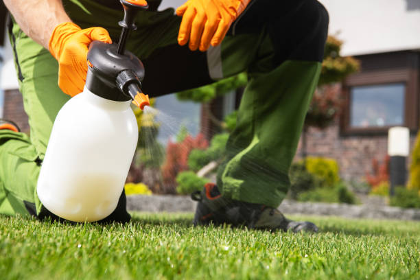 Best Wasp Removal Services  in Eastmont, WA