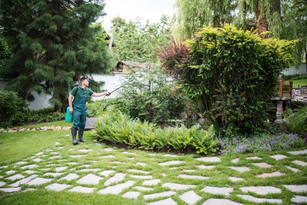 Best Best Pest Control Companies  in Eastmont, WA