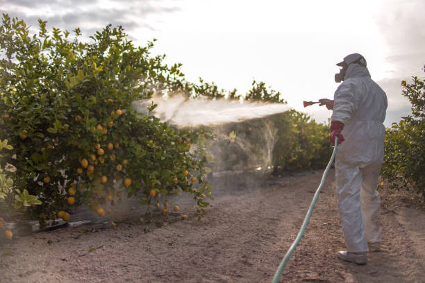 Best Mosquito Control Services  in Eastmont, WA