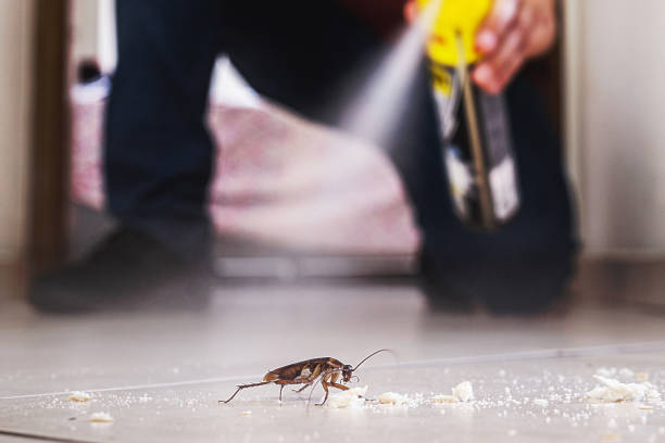 Best Cockroach Control Services  in Eastmont, WA