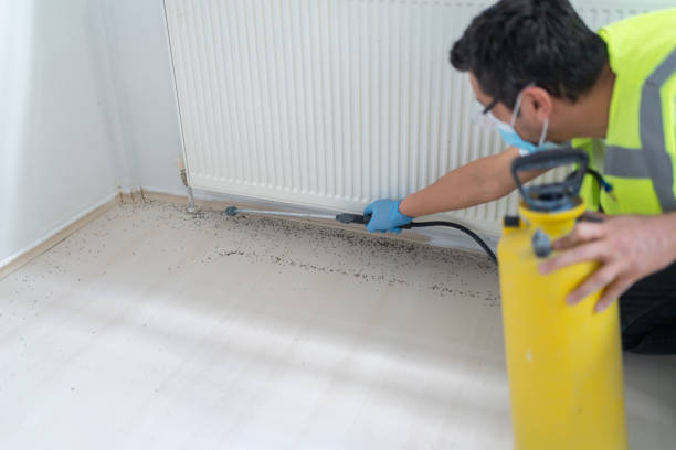 Best Rat Extermination Near Me  in Eastmont, WA