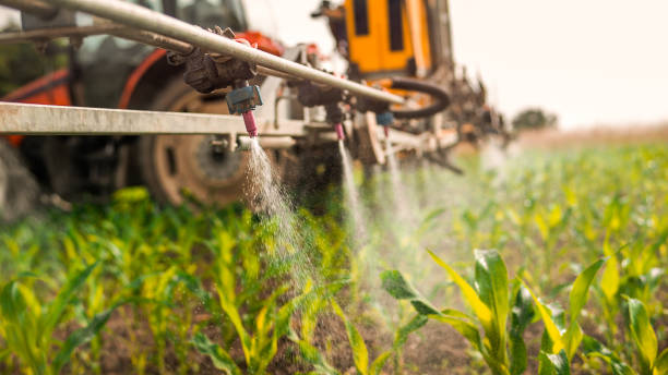 Pest Control Cost in Eastmont, WA